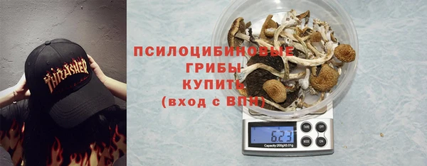 мескалин Арсеньев