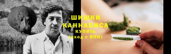 мескалин Арсеньев
