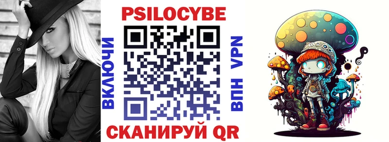 darknet наркотические препараты  Урус-Мартан  Псилоцибиновые грибы GOLDEN TEACHER  сколько стоит 